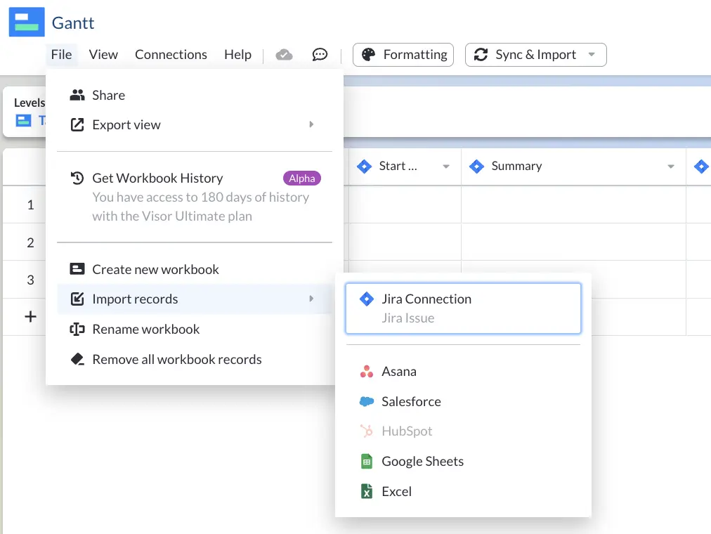 imported records from other apps like excel, jira or asana into visor to make a gantt chart