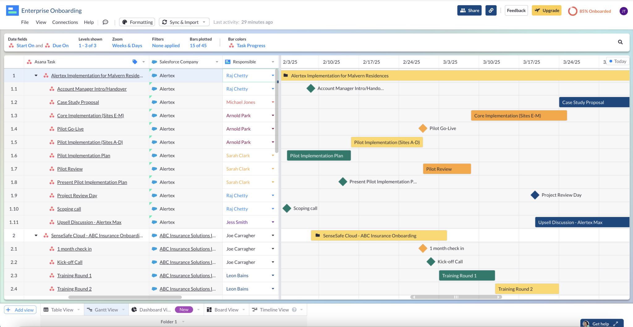 an asana roadmap in visor