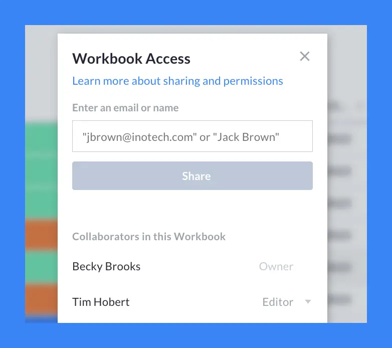 visor screen to give workbook access 