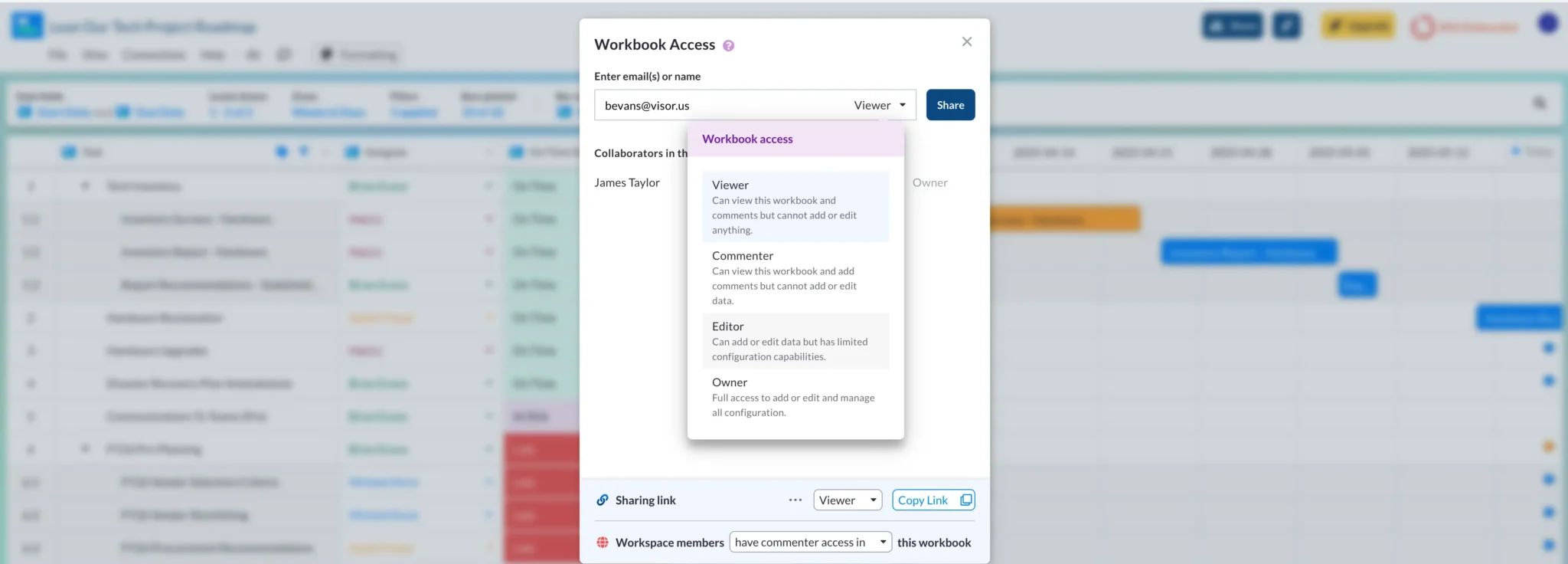 Sharing settings for a project roadmap created in and shared through Visor