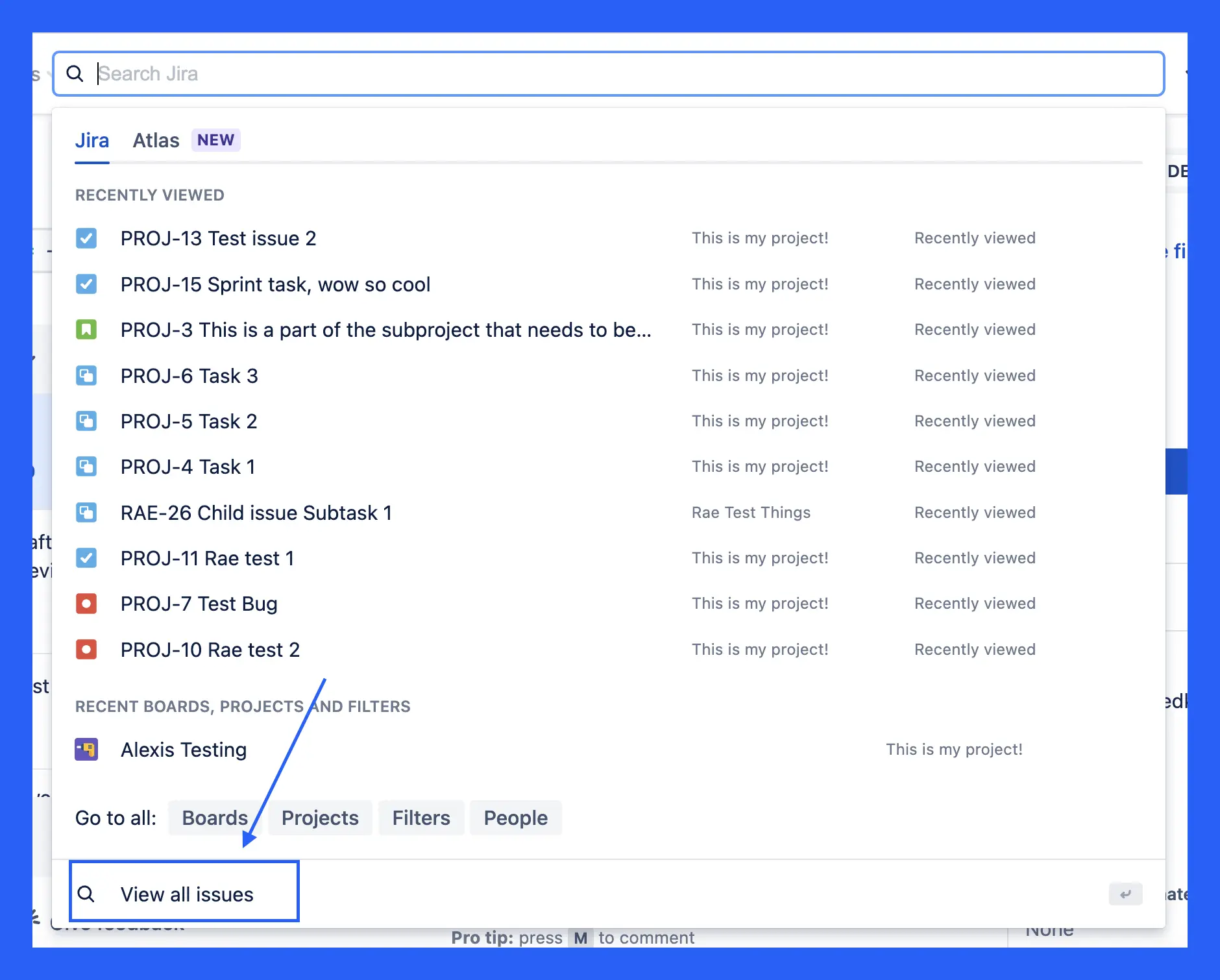 jira csv export, step 1: jira screen prompting user to view all isues