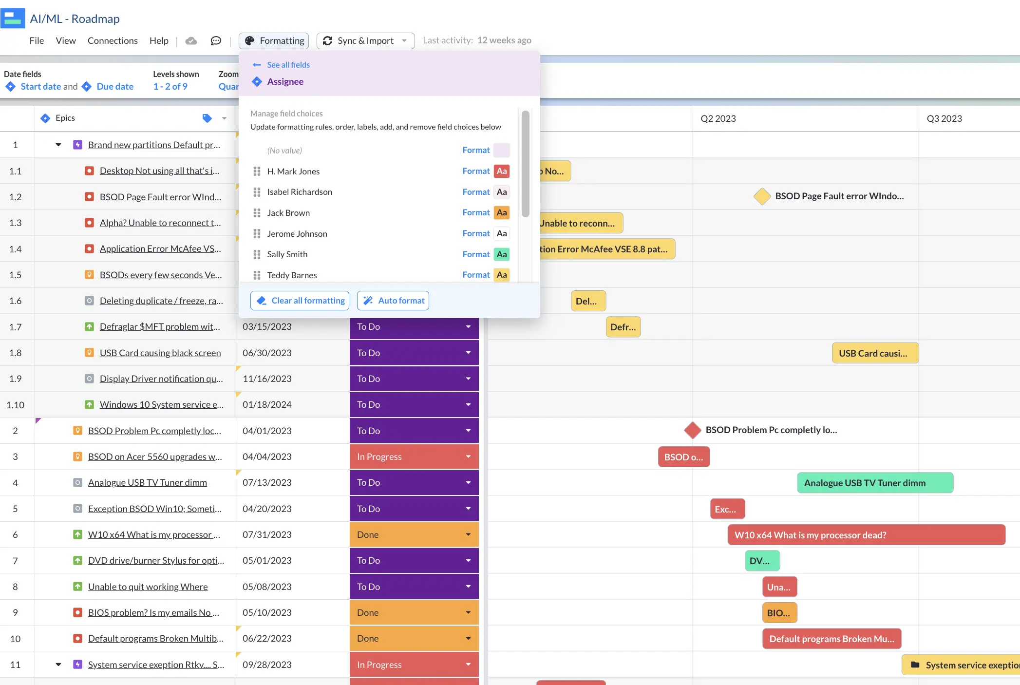 step 5 for jira milestone roadmap in visor: select formatting