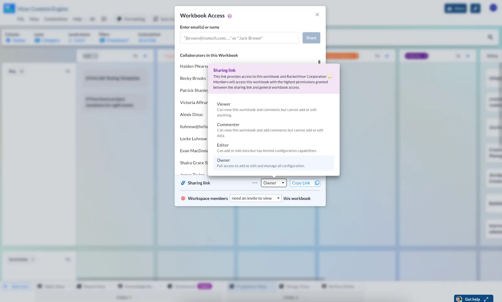 workbook share levels in visor