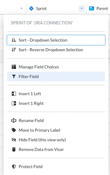 jira to visor import filter options