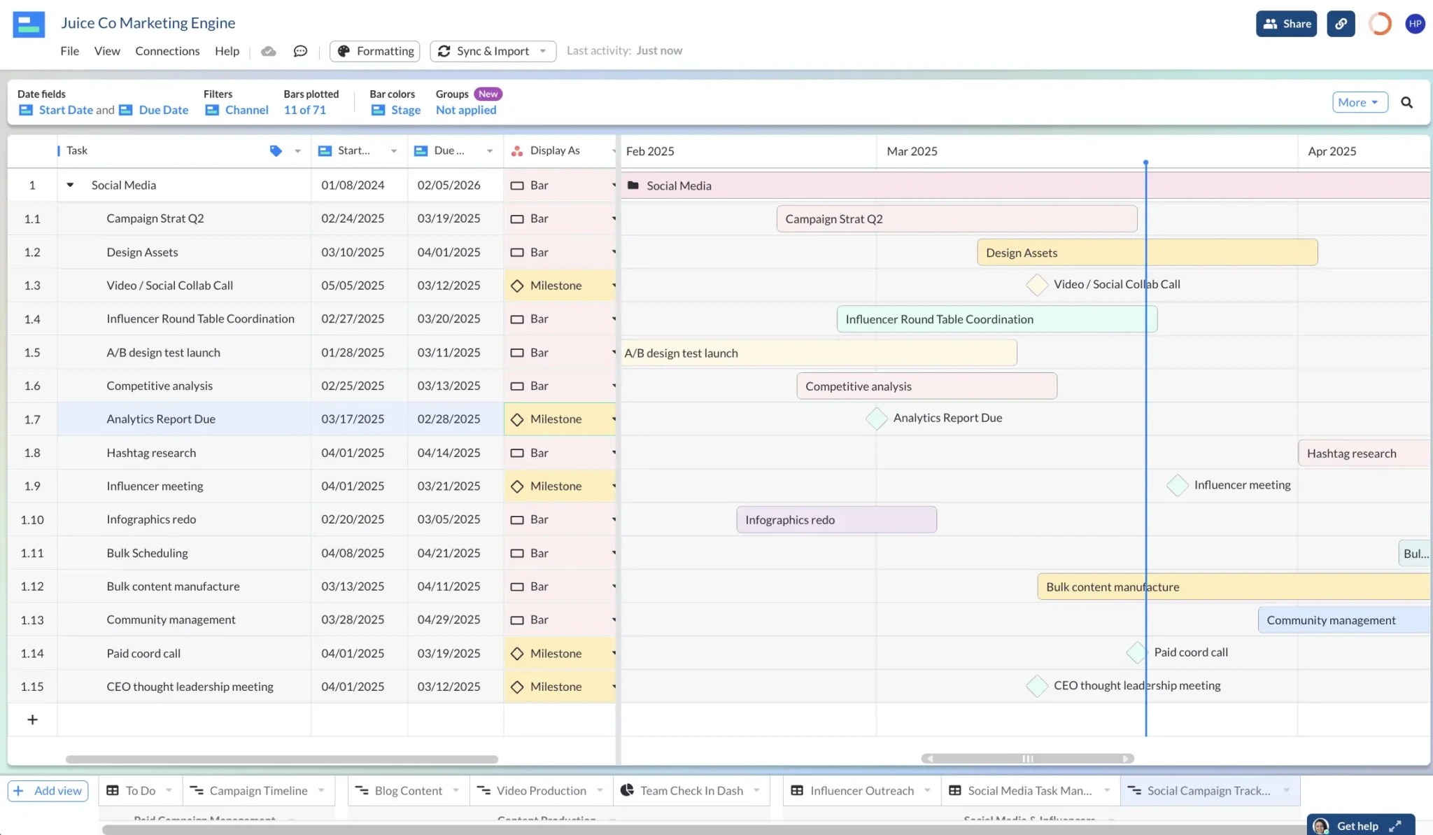 planning a social media campaign in a Visor Gantt