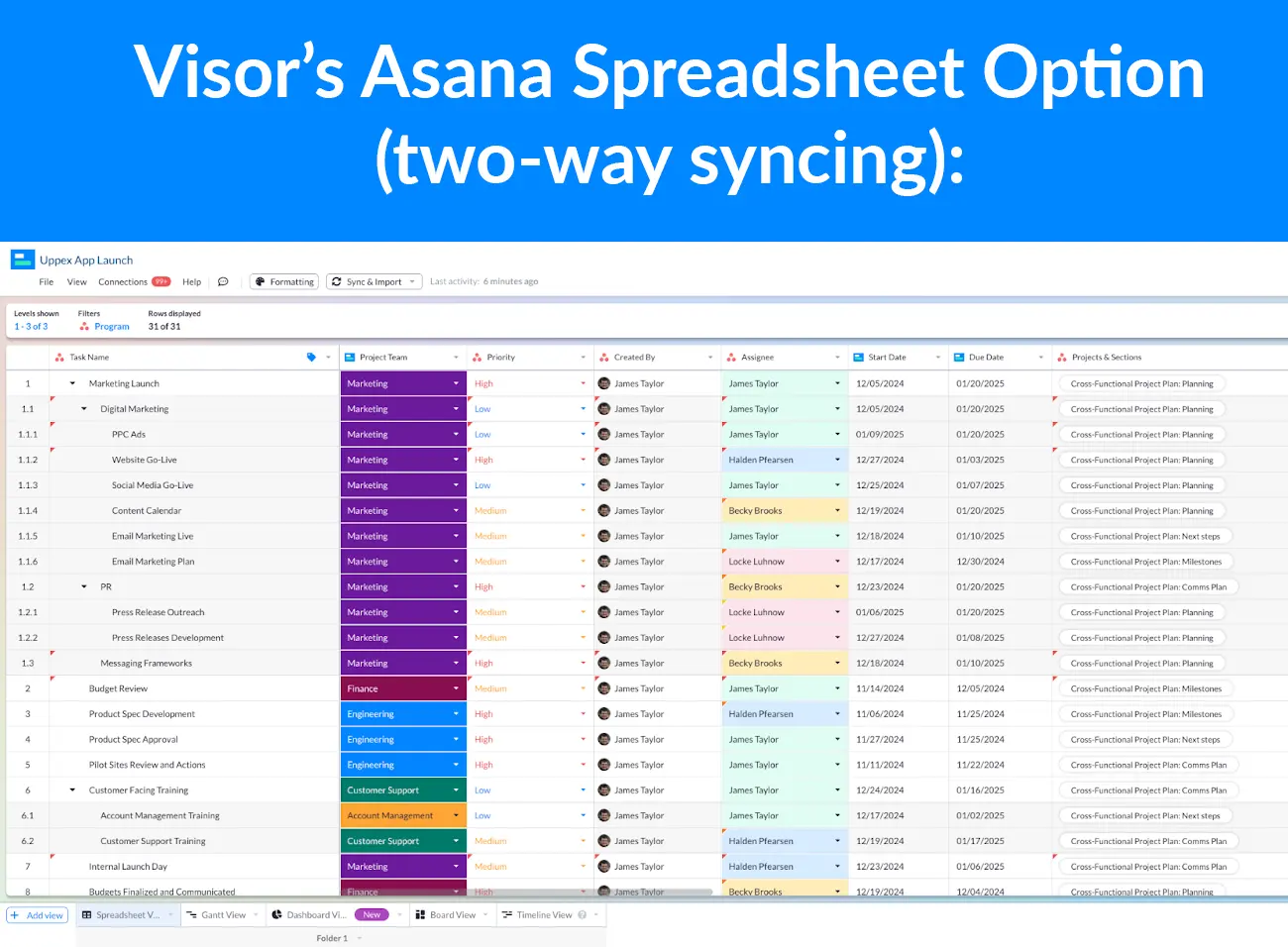 visor's asana spreadsheet with two-way syncing